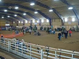 Trofeo 3D Indoor de la RFETA